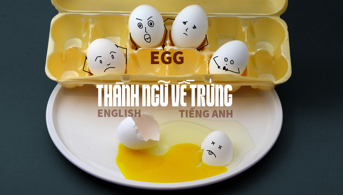 thành ngữ tiếng Anh về quả trứng gà trứng vịt ngỗng